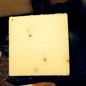 Eucalyptus Aloe Handmade Soap